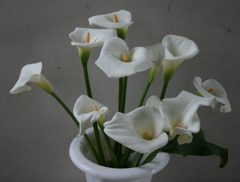 Bouquet of Lilys in Rememberance
